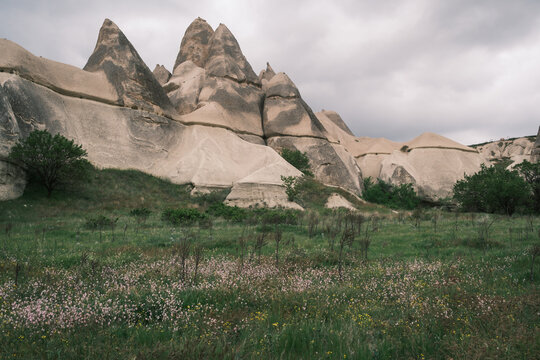 he iconic rock pillars of Love Valley in Cappadocia, Turkey. Unique volcanic tuff formations surrounded by green vegetation under an overcast sky.