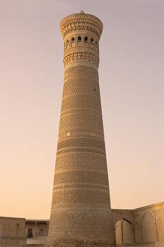 Kalyan Minaret in Bukhara rising above the mosque complex at sunset. Ornate brickwork bands decorate the tower against a gradient sky. Ideal for travel guides, history publications, and cultural.