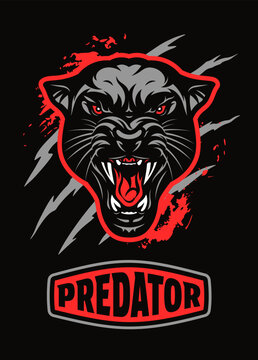 Angry black panther head with red text badge Predator and claw scratches on black background, vector illustration.
