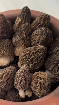 Morel mushrooms are being prepared for cooking.