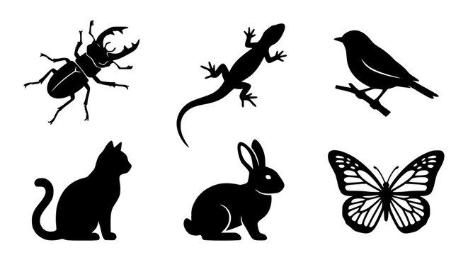 Animal silhouette vector collection with beetle lizard bird and cat