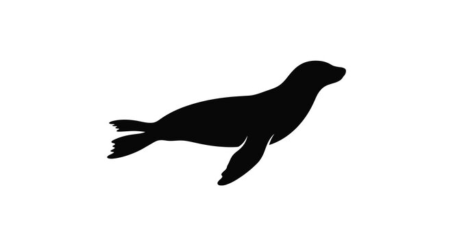 seal silhouette on white background marine mammal shape