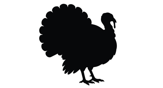 turkey silhouette against a white background