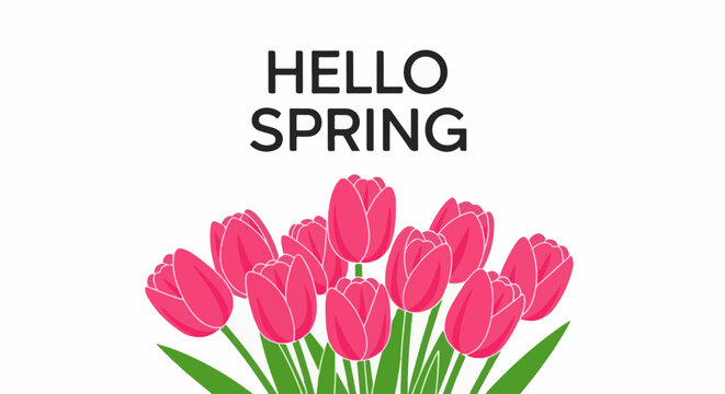 Vibrant pink tulips bloom beneath bold "HELLO SPRING" text against a clean white background