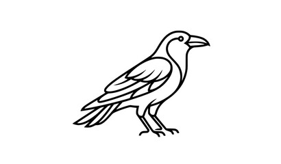 Fototapeta premium Minimal crow bird outline icon vector illustration isolated on white background for animal and nature design