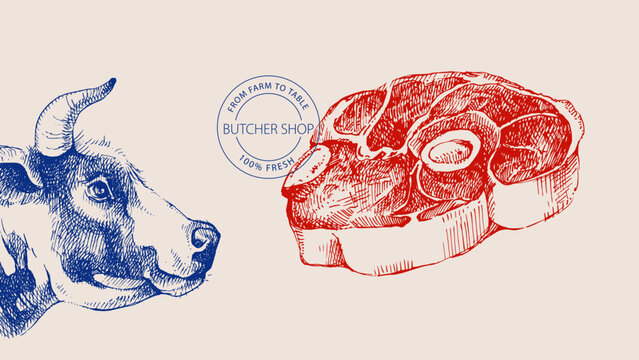 Hand drawn sketch meat butcher shop poster. Vector vintage collage illustration. Menu poster, packaging design banner