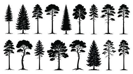 Black pine tree silhouettes, coniferous forest evergreen vector set, 18 isolated spruce and cedar tree shapes for landscape design and outdoors graphics © Noman