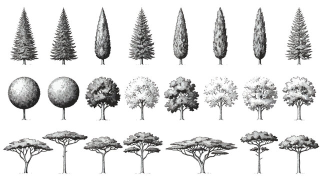 Vintage hand drawn tree collection, 23 engraved forest and garden tree icons, antique botanical sketch vector set for landscape design and maps
