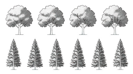 Vintage engraved tree collection, 10 monochrome forest plant icons, hand drawn deciduous and coniferous tree vector set for landscape design © Noman