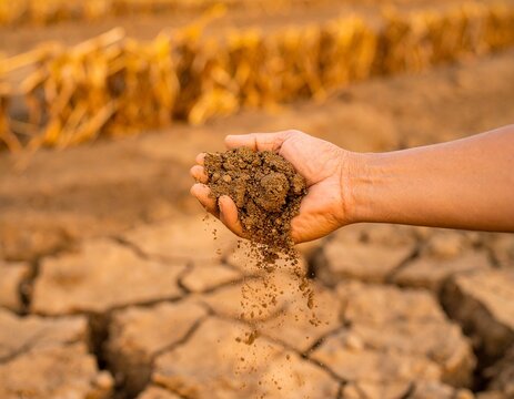 A farmer holds a clump of barren, dry soil that occurs due to drought.