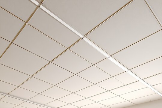 A dropped grid ceiling with fluorescent lights in a modern office or home