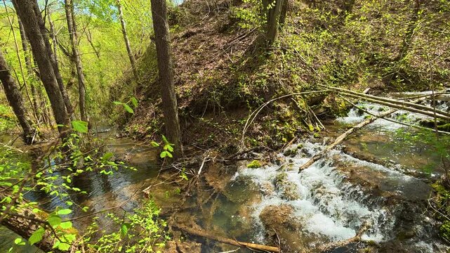 Forest stream flows over rocks. Bigar Waterfall, Stara Planina. (Balkan Mountains), Serbia.