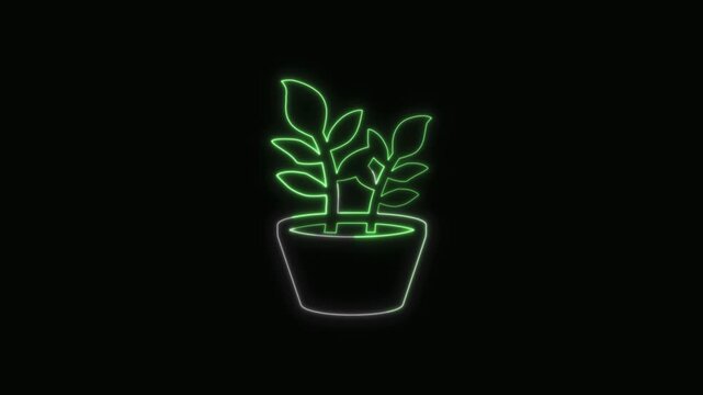  Plant Pot Icon Neon Seamless Loop 4K with Black Background Animated Promotional Typography for Video Editing
