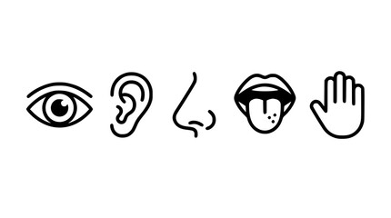 Trendy five senses vector bundle with minimalist human perception line art icon set © MdShafikul