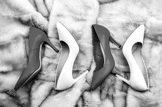 Women shoes. Shoe for women. Heel shoes on a fur coat. Beauty and fashion concept. Fashionable women shoes. Stylish classic women leather shoe. Black and white