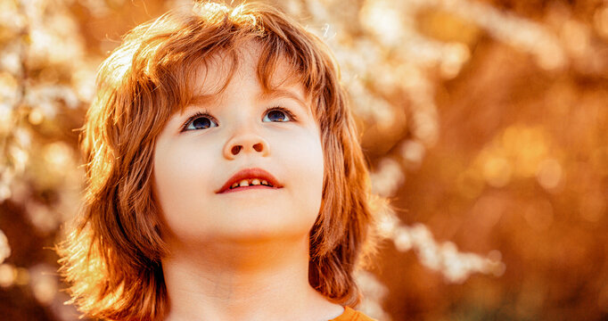 Happy little boy walking in spring garden. Little boy walks on outdoors, spring weather, sun is shining. hild relaxing under sun