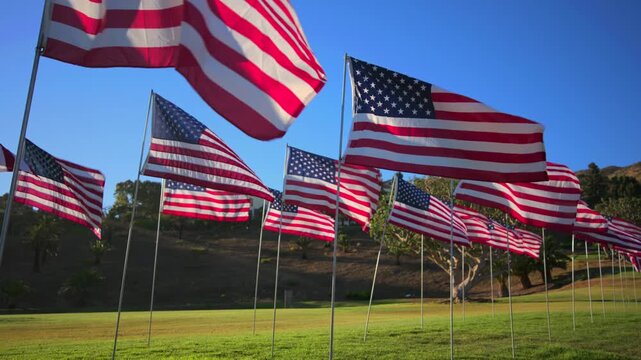 USA Flag September 11 memorial tribute display features dozens of American flags waving in the wind on a sunny day.