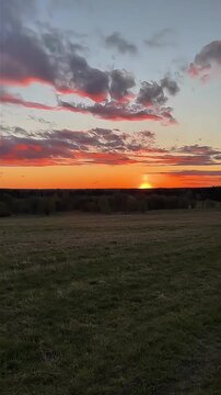 wide angle shot of scenic sunset over green field and forest landscape