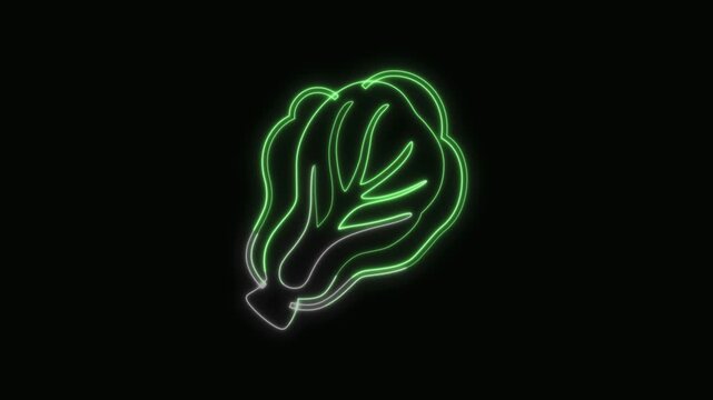  Lettuce Vegetable Icon Neon Seamless Loop 4K with Black Background Animated Promotional Typography for Video Editing
