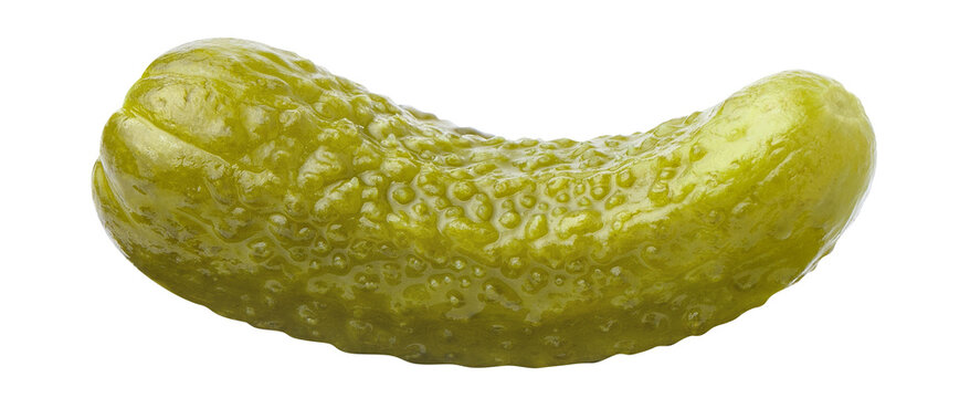Pickled cucumber gherkin, isolated on cutout transparent background