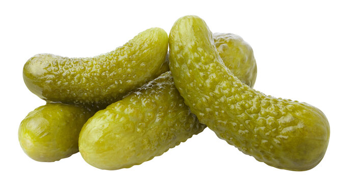 Pickled cucumbers gherkins group, isolated on cutout transparent background