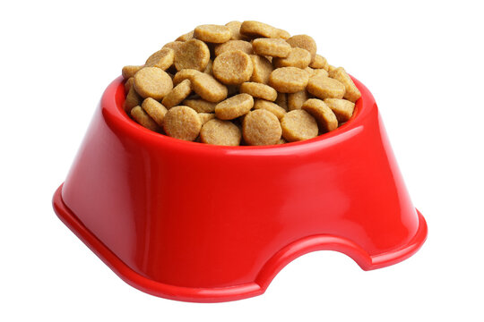 Red pet bowl full of dry pet food, isolated on cutout transparent background