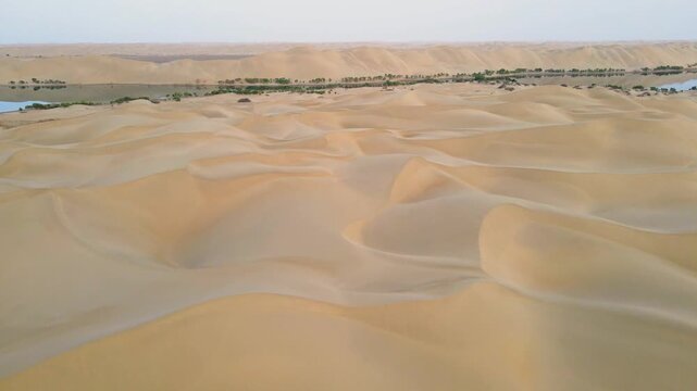 Aerial shot of desert poplar forest at Tata Secret Land, Luobu Lake, Yuli Xinjiang