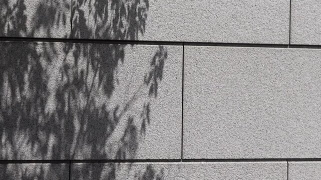 Leaf shadows cast on a granite wall dappled light abstract backdrop