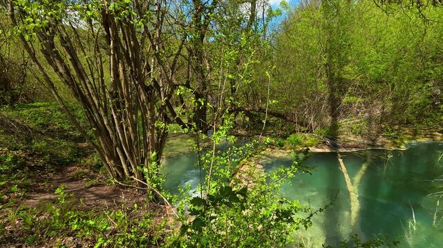 Emerald waters flow gently beneath trees. Bigar Waterfall, Stara Planina. (Balkan Mountains), Serbia.