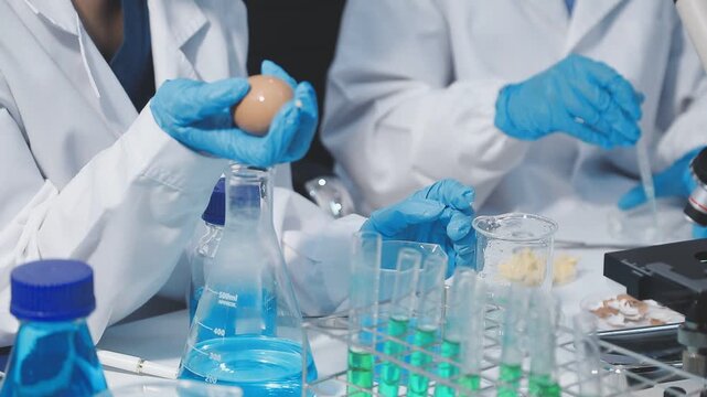 Researcher conducts food analysis in laboratory on eggs and dairy with microscope and data sheet for study on nutrition concept