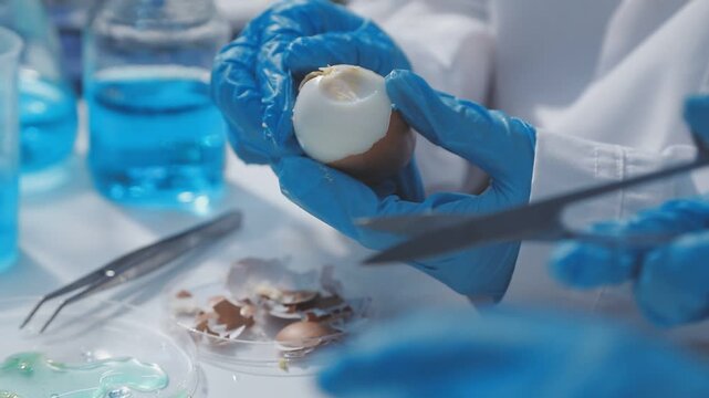 Researcher conducts food analysis in laboratory on eggs and dairy with microscope and data sheet for study on nutrition concept
