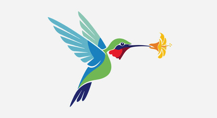 Obraz premium A colorful hummingbird with extended wings drinks nectar from a bright yellow flower