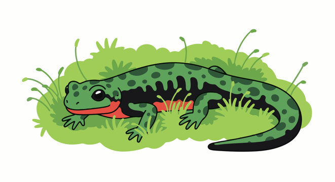 A cartoon green and black spotted newt with red underbelly lies amongst lush green grass