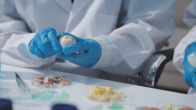 Researcher conducts food analysis in laboratory on eggs and dairy with microscope and data sheet for study on nutrition concept