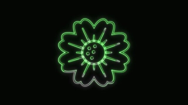  Flower Icon Neon Seamless Loop 4K with Black Background Animated Promotional Typography for Video Editing