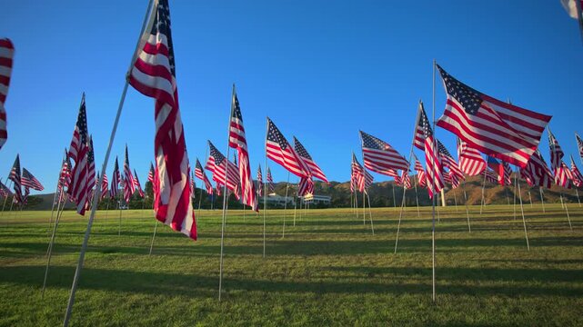 Rows of American flags wave gracefully on metal poles across expansive green lawn under brilliant blue sky with golden hour sunlight casting long shadows.