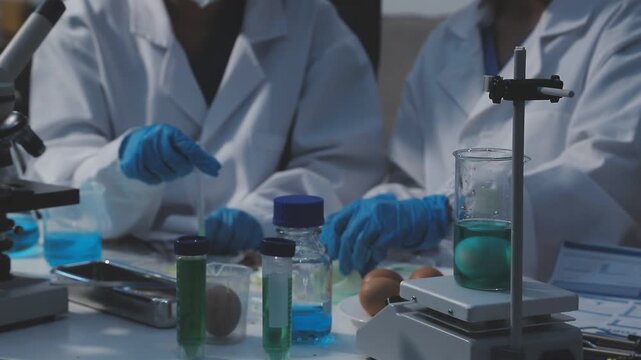 Researcher conducts food analysis in laboratory on eggs and dairy with microscope and data sheet for study on nutrition concept