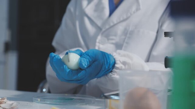 Researcher conducts food analysis in laboratory on eggs and dairy with microscope and data sheet for study on nutrition concept