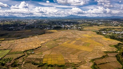 Drone aerial view of the golden harvest-season rice fields near Kontum City, Kon Tum Province, Vietnam. Vast paddies of yellow ripe rice cover the valley landscape, with mountains rising in the backgr © jr
