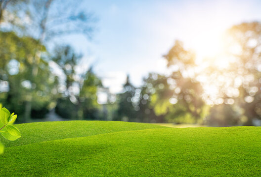 Green grass hills with blurred park background and sunlight