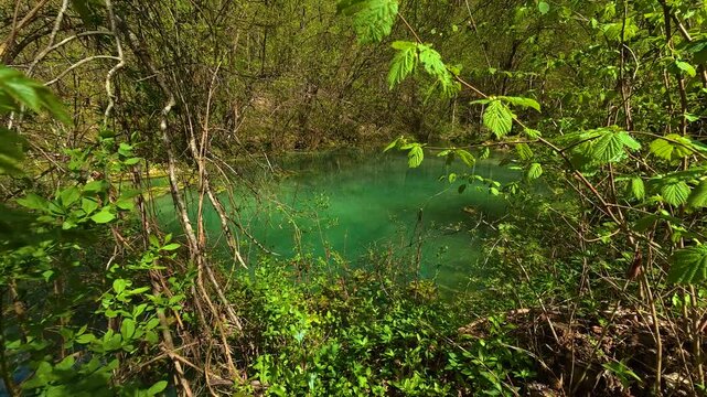 Lush greenery frames a serene turquoise pond. Bigar Waterfall, Stara Planina. (Balkan Mountains), Serbia.
