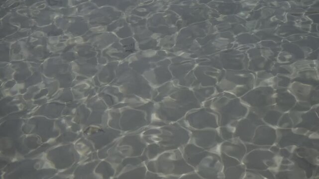 pool ripples 