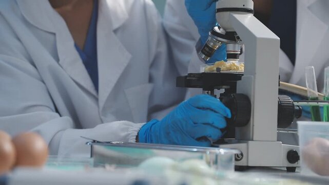Researcher conducts food analysis in laboratory on eggs and dairy with microscope and data sheet for study on nutrition concept
