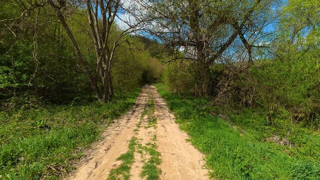 Dirt path winds through green forest. Bigar Waterfall, Stara Planina. (Balkan Mountains), Serbia.