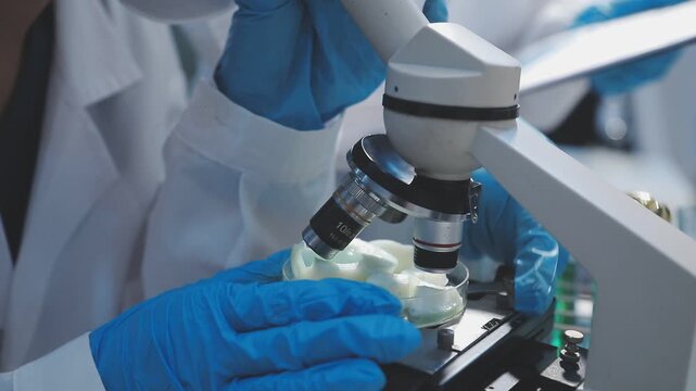 Researcher conducts food analysis in laboratory on eggs and dairy with microscope and data sheet for study on nutrition concept