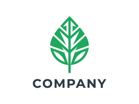 Green Growth Arrow with COM Text Logo Design Vector Illustration