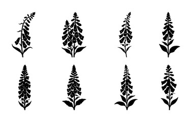 Digitalis Foxglove Silhouettes, Botanical Vector Illustrations, Wildflower Plant Graphics, Garden Flora Elements © Ripa