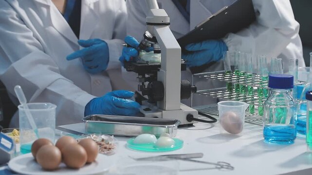 Researcher conducts food analysis in laboratory on eggs and dairy with microscope and data sheet for study on nutrition concept