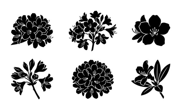 Botanical Vector Silhouettes: Rhododendron Flower Clusters, Floral Elements, Nature Graphics