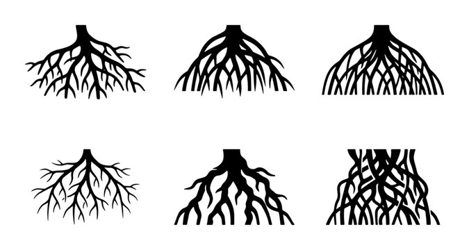 Diverse Tree Root Systems, Plant Biology Vector Icons, Organic Growth Patterns